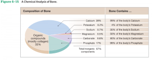 Chemical composition of bone